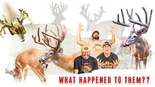 TOP 5 BUCKS THAT GOT AWAY!! 200"+ SUBURBAN Whitetails (Untold Stories)