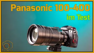 Panasonic 100-400mm Review und Vergleich zum Olympus 100-400
