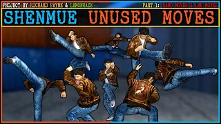 Shenmue - Exploring Unused Combat Move Animations feat Virtua Fighter Part 1 - Richard Payne