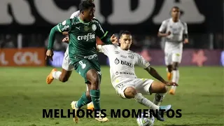 Palmeiras 1 x 2 Santos   Melhores Momentos COMPLETOS   Brasileirão 2023