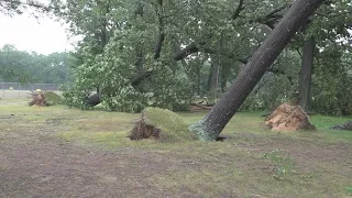 Tuesday's afternoon storms uproot dozens of trees across Muskegon