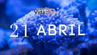 Tu tiempo con Dios 21 Abril de 2023 (2 Samuel 6:16-23)