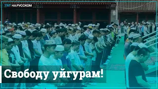 Уйгуры Стамбула требуют от Китая освободить их близких