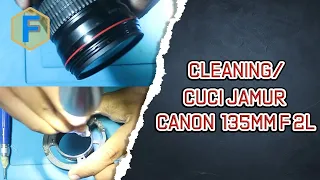 Ceaning cuci jamur lensa canon 135mm f2L