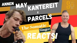 As good as TOM'S DINER??? TheSomaticSinger reacts - AnnenMayKantereit x Parcels LIVE!!