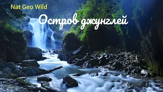 Nat Geo Wild.Дикая природа Тайваня. Остров джунглей.