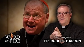 Bishop Barron on Effective Evangelization