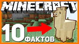 ТОП 10 ФАКТОВ О ЛАМАХ В MINECRAFT О КОТОРЫХ ВЫ НЕ ЗНАЛИ!!!