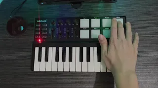 Dilemma - Nelly ft. Kelly (MIDI Keyboard Cover) Live Looping | Worlde Panda Mini