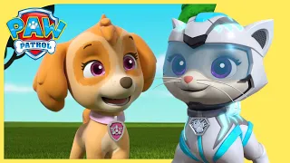 Marshall and Leo Save Animals on a Ferris Wheel +MORE | PAW Patrol | Cartoons for Kids