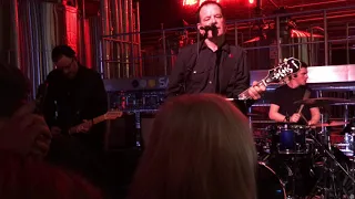 The Wedding Present - We Should Be Together (live) 12/12/2019 Saltaire Beer Factory