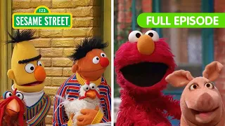 Elmo Finds the Missing Animals with Bert & Ernie | Sesame Street Full Episode