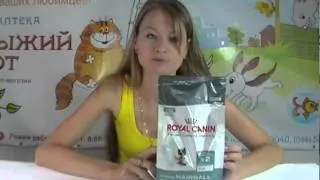 Корм для кошек Royal Canin Hairball