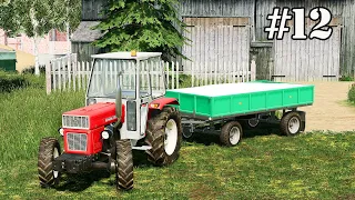 Picking cucumbers. New investment. Buying lime. Small Farm. FS 19. Episode 12