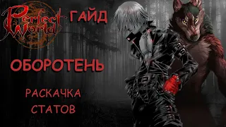 Как раскидывать статы оборотню в пв? Perfect World Гайд