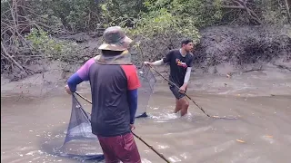 PESCARIA DE REDINHA NO IGARAPÉ. MUITO CAMARÃO E SIRI.