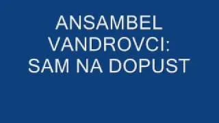 ANSAMBEL VANDROVCI: SAM NA DOPUST .wmv