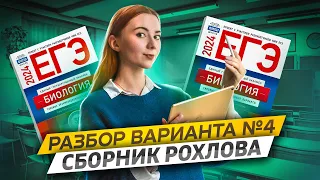 Разбор 4 варианта Рохлов 2024 | Биология ЕГЭ