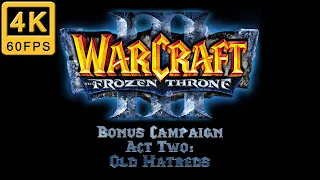 Warcraft 3 The Frozen Throne Walkthrough | Hard | Bonus Campaign | Act 2: Old Hatreds