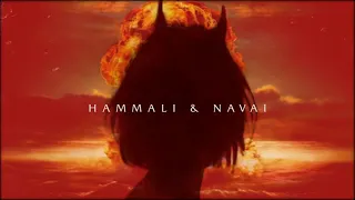 HAMMALI&NAVAL