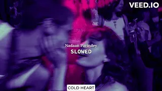Nadaan Parindey (slowed) | A. R. Rahman, Mohit Chauhan | COLD HEART