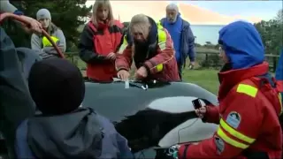 Orca stranding rescue - rakey