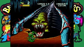 [TAS] Battletoads (ARCADE) Level: 06 in 43:55 / Production 2023