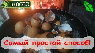 ОГНЕННОЕ УДОБРЕНИЕ из яичной скорлупы! Быстродействующее удобрение без кофемолки и уксуса.