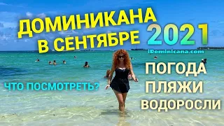 Доминикана в сентябре 2021: пляжи отелей Пунта-Кана, водоросли, экскурсии - iDominicana.com