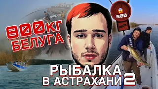 Рыбалка в Астрахани ! Белуга 800 кг | Часть 2