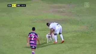 Cachorro invade jogo da Série C e dribla jogadores de Treze e Santa Cruz