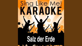 Salz der Erde (From the Musical "Bonifatius 2010") (Karaoke Version) (Originally Performed By...