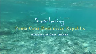 Snorkeling, Punta Cana, Dominican Republic