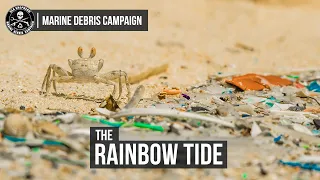 The Rainbow Tide