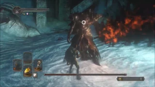 SL1 NG+7 COC Fume Knight without Rolling or Blocking