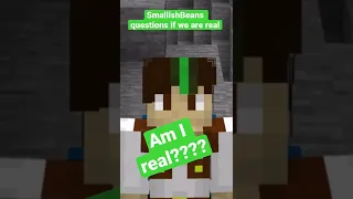 SmallishBeans Questions If We Are Real