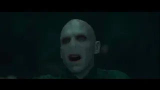 Voldemort kills everyone in Harry Potter