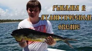Рыбалка в Атлантическом океане - Доминиканская республика