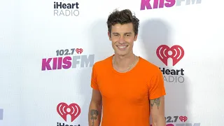 Shawn Mendes 2022 iHeartRadio's KIIS FM Wango Tango Pink Carpet