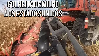 COLHEITA DE MILHO NOS ESTADOS UNIDOS