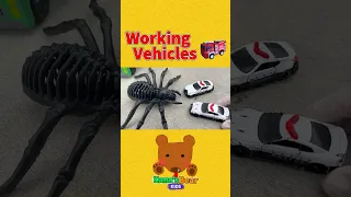 Police Cars are Fighting with a Spider! Let's Use Slimes to Catch It! 【Kuma's Bear Kids】