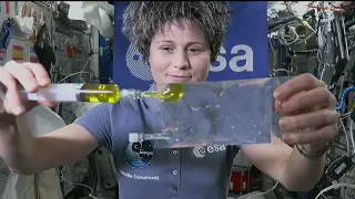 Expedition 67 Astronaut Samantha Cristoforetti Answers European Student Questions - June 14, 2022