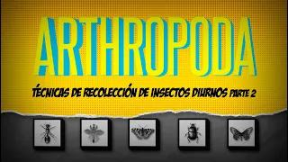 ARTHROPODA Capítulo 2, Técnicas de recolección de insectos diurnos parte 2