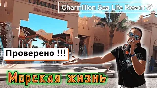 Charmillion sea life Resort 5* Душа поёт! Маленький, компактный и очень уютный!