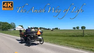 The Amish Way of Life #amishlife #mennonite