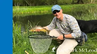 Chalkstream Fly Fishing at Westover on the River Anton