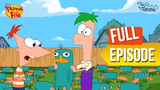 Who's The Best Boss? |Phineas And Ferb | EP 36 | @disneyindia
