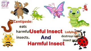 Insects Name English | Useful and harmful Insects | Insects name  with pictures#sasufun