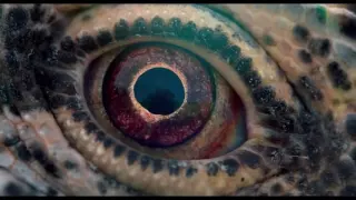 Voyage of Time Official Trailer #2 2016 Brad Pitt, Cate Blanchett IMAX Documentary Movie HD