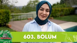 Zuhal Topal'la Yemekteyiz 603. Bölüm @Yemekteyiz